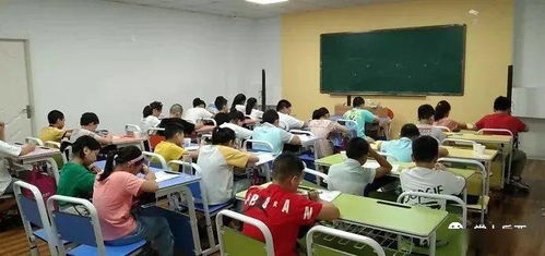 最高立减1200元,岳西这家培训学校,报名通道已开