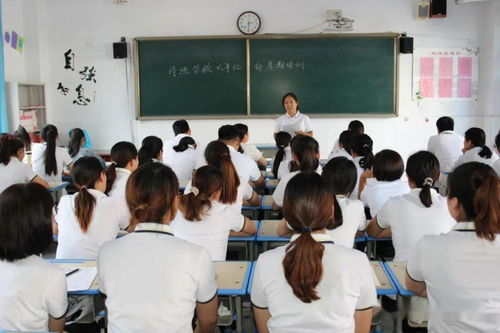 学习规章制度,掌握工作要领 诗经学校各部门暑期分组培训取得实效