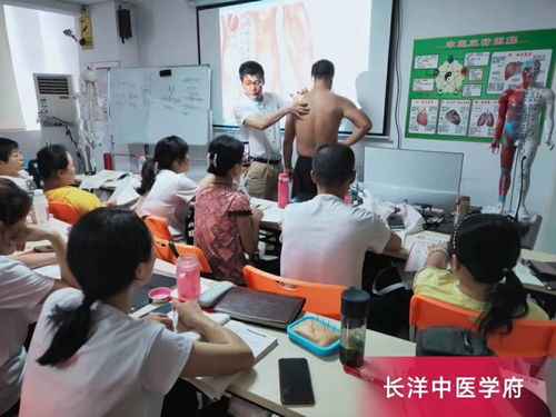 广州中医经络推拿针灸培训学校,专业细致实操课程