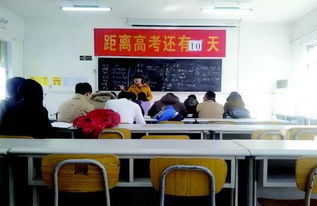 艺考黑培训打名校旗号招生.图 手机新浪网