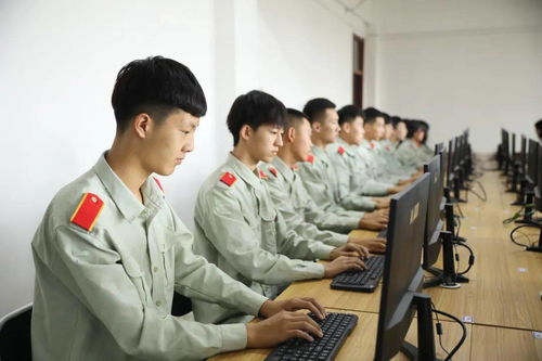 喜报 中港教育在全国乡村振兴职业技能大赛中喜获佳绩